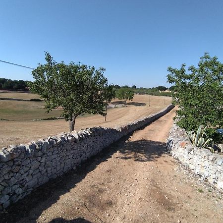 Masseria Catucci Agriturismo 알베르벨로 외부 사진