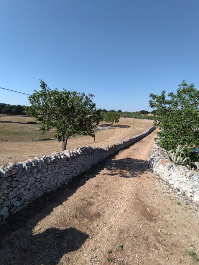 Masseria Catucci Agriturismo 알베르벨로 외부 사진
